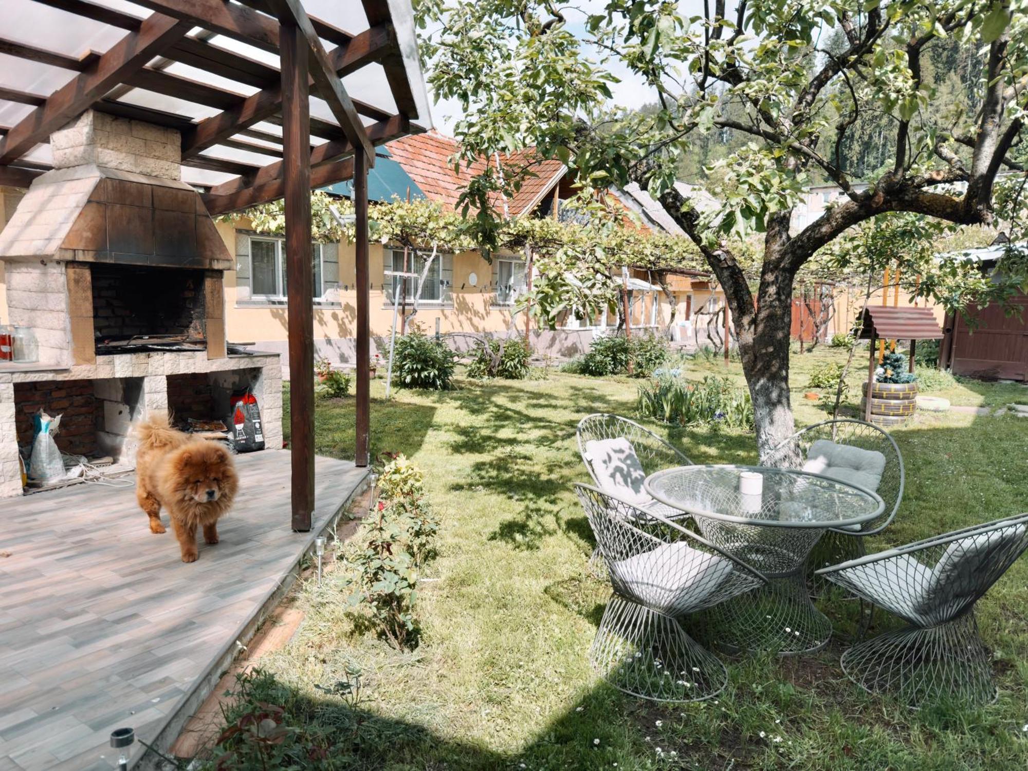 Apartamento Yard Studio Rasnov Exterior foto